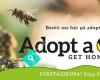 Adopt a bee! - Get honey for free