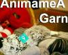 AnimameA Garn