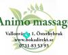 ANIMO   massage