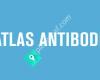 Atlas Antibodies