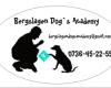 Bergslagen Dogs Academy