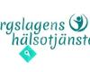 Bergslagens Hälsotjänster