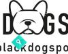 Black Dog Sports