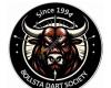 Bollsta Dart Society
