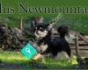Chis Newmountain