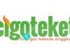 Cigoteket