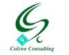 Colswe Consulting AB