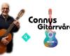 Connys Gitarrvård