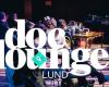 Doc Lounge Lund