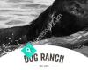 Dog Ranch