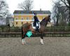 EE Dressage