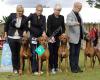 Emoyeni's kennel breeder of  rhodesian ridgeback