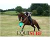 Equisurf