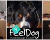 FeelDog Hundmassage & Laser