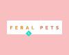 Feral Pets