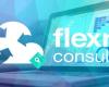 Flexra Consulting