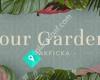 Four Gardens Bakficka