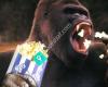 Gorilla Popcorn