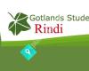 Gotlands studentkår Rindi