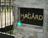 Hagård Hästgård