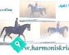 Harmonisk Ridning