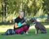 Hundkurser i Kopparberg med Lindesbergs Hundcenter