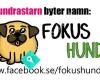 Hundrastarn Finspång - Fokus Hund