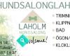 Hundsalonglaholm