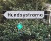 Hundsystrarna