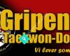 IF Gripen Taekwon-Do