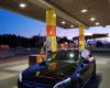 INGO
