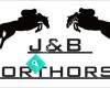 J&B Sporthorses