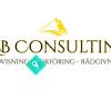 JGB Consulting