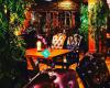 Jungle Thai - JT - Restaurang & Bar
