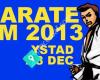 Karate SM Ystad 2013