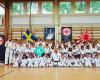 Karate Syd - So Kyokushin Sweden
