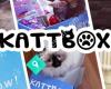 Kattbox