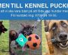 Kennel Puckings