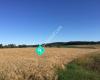 Kulinariet