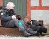 Labbehusets Kennel