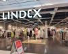 Lindex