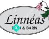 Linnèas