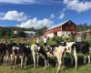 Logen i Lövberg