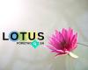 Lotus Företagshälsa