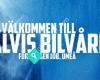 Älvis Bilvård