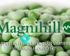 Magnihill AB