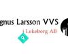 Magnus Larsson VVS i Lekberg