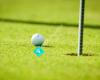 Malungs Golfklubb