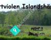 Nattviolen Islandshästar - Anne Marie och Staffan