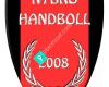 Nybro Handboll